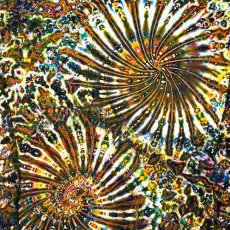 画像2: GRATEFUL TIE-DYE FACTORY メンズ  長袖Tシャツ（Lサイズ） (2)