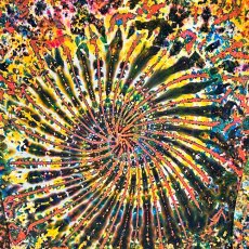 画像3: GRATEFUL TIE-DYE FACTORY メンズ  長袖Tシャツ（Mサイズ） (3)