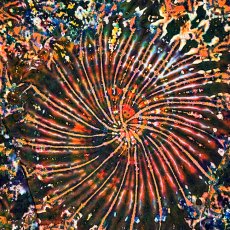 画像3: GRATEFUL TIE-DYE FACTORY メンズ  長袖Tシャツ（Mサイズ） (3)