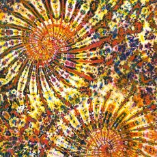 画像2: GRATEFUL TIE-DYE FACTORY メンズ  長袖Tシャツ（Lサイズ） (2)