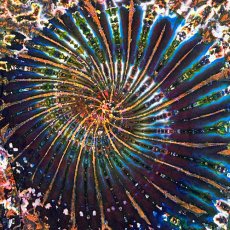 画像3: GRATEFUL TIE-DYE FACTORY メンズ  長袖Tシャツ（Mサイズ） (3)