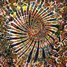 画像2: GRATEFUL TIE-DYE FACTORY メンズ  長袖Tシャツ（Mサイズ） (2)