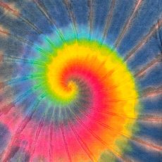 画像4: GRATEFUL TIE-DYE FACTORY メンズ・半袖Tシャツ（Mサイズ） (4)