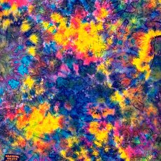 画像2: GRATEFUL TIE-DYE FACTORY メンズ・半袖Tシャツ（Mサイズ） (2)