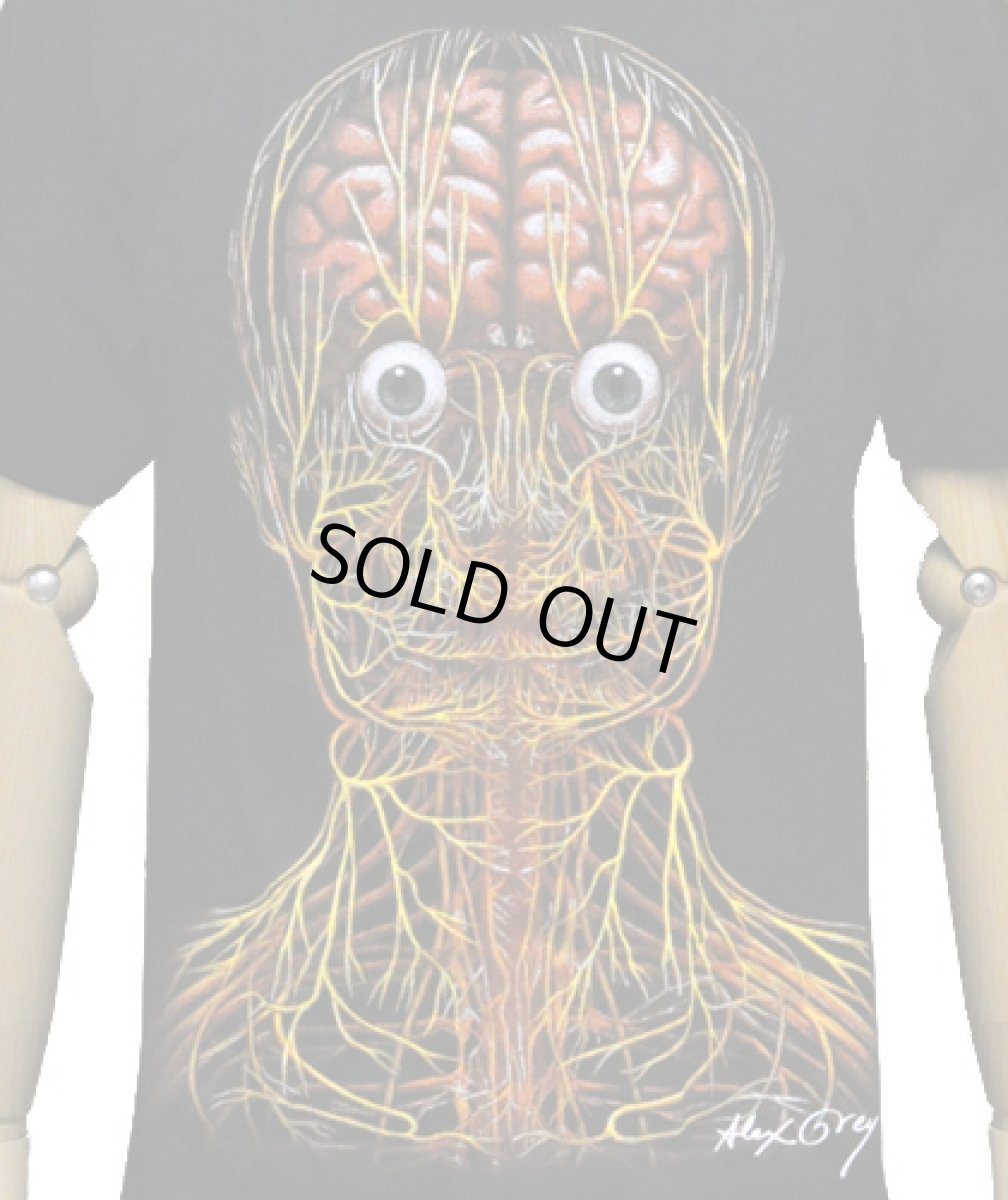 画像2: ALEX GREY メンズ・Tシャツ「Nervous Energy System」 (2)