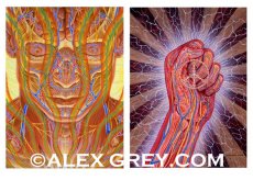 画像2: ALEX GREY ポストカード・10枚セットC (2)