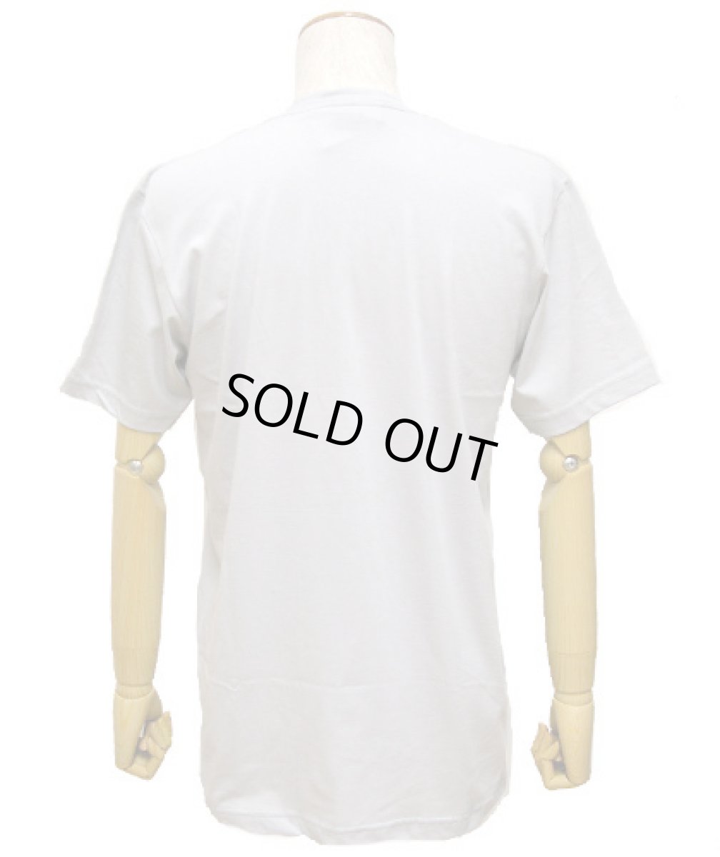 画像3: IMAGINARY FOUNDATIONメンズ半袖Tシャツ「Phase Change / シルバーグレー」 (3)