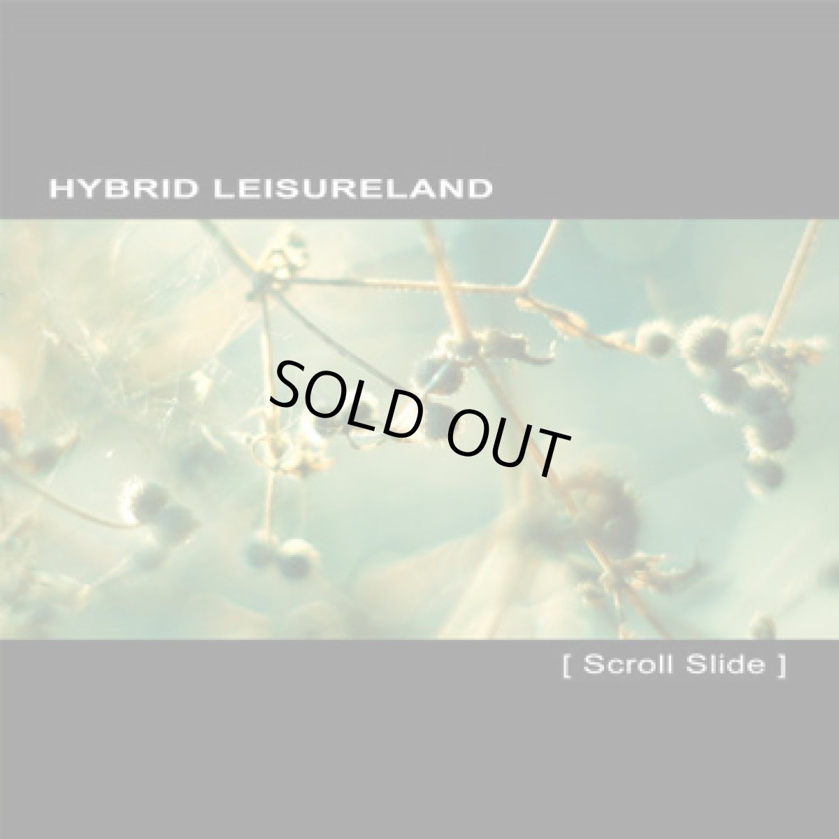 画像1: CD「Hybrid Leisureland/ Scroll Slide」 (1)