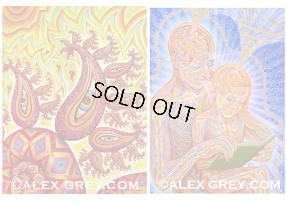 画像5: ALEX GREY ポストカード・10枚セットA (5)