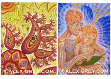 画像5: ALEX GREY ポストカード・10枚セットA (5)