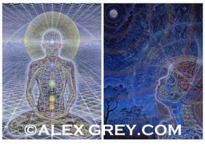 画像1: ALEX GREY ポストカード・10枚セットA