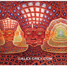 画像2: ALEX GREY ポスター「Net Of Being」 (2)