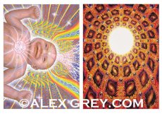 画像5: ALEX GREY ポストカード・10枚セットB (5)