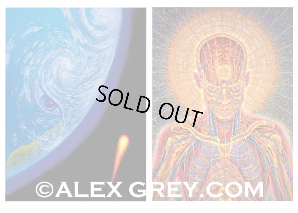 画像4: ALEX GREY ポストカード・10枚セットB (4)