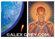 画像4: ALEX GREY ポストカード・10枚セットB (4)