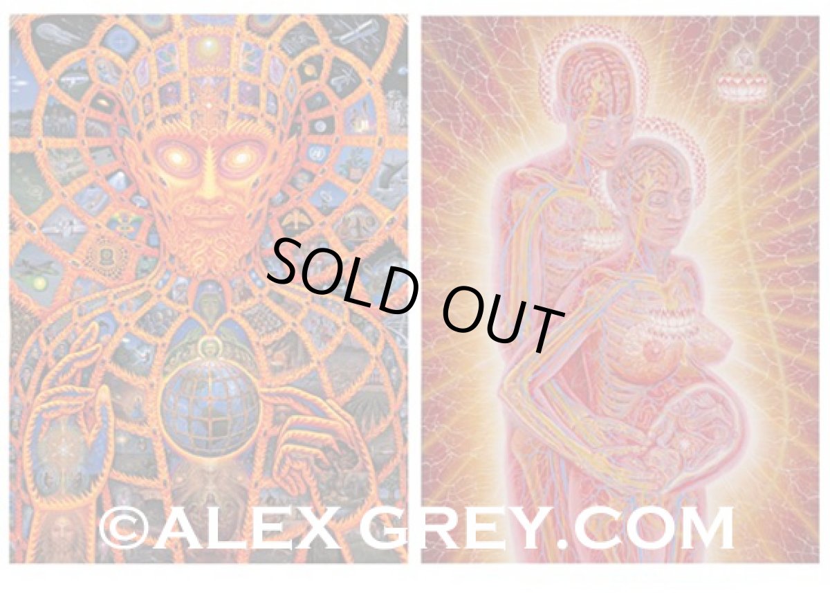 画像2: ALEX GREY ポストカード・10枚セットB (2)