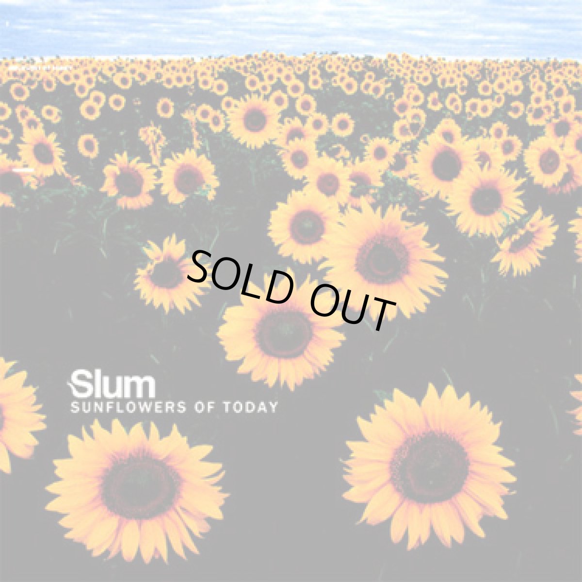 画像1: CD「 SLUM / SUNFLOWERS OF TODAY 」 (1)