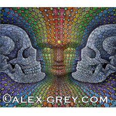 画像3: ALEX GREY ホログラムカード「Bardo Being - Diamond Being - Jewel Being」 (3)