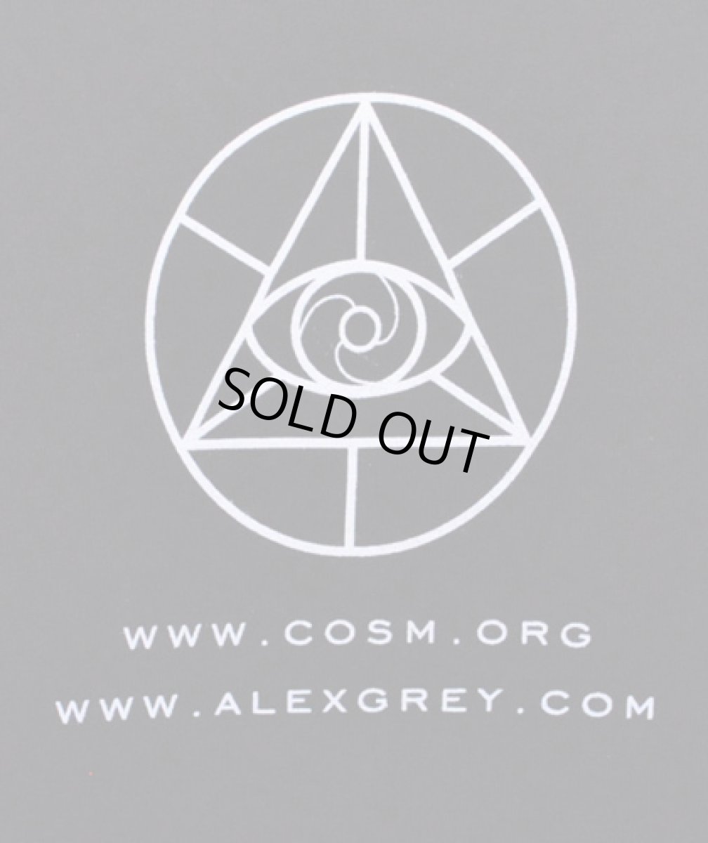 画像4: ALEX GREY メンズ・Tシャツ「Nervous Energy System」 (4)