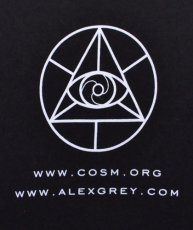 画像4: ALEX GREY メンズ・Tシャツ「Nervous Energy System」 (4)