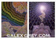 画像3: ALEX GREY ポストカード・10枚セットC (3)