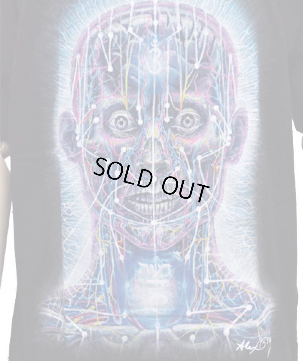 画像2: ALEX GREY メンズ・Tシャツ「Psychic Energy System」 (2)