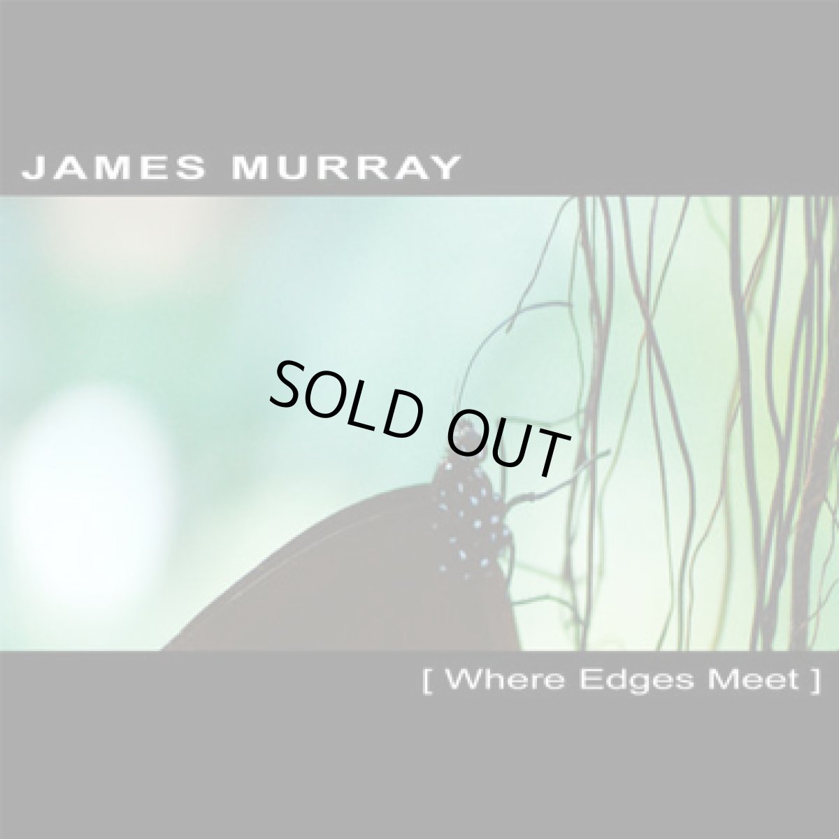画像1: CD「JAMES MURRAY / WHERE EDGES MEET」 (1)