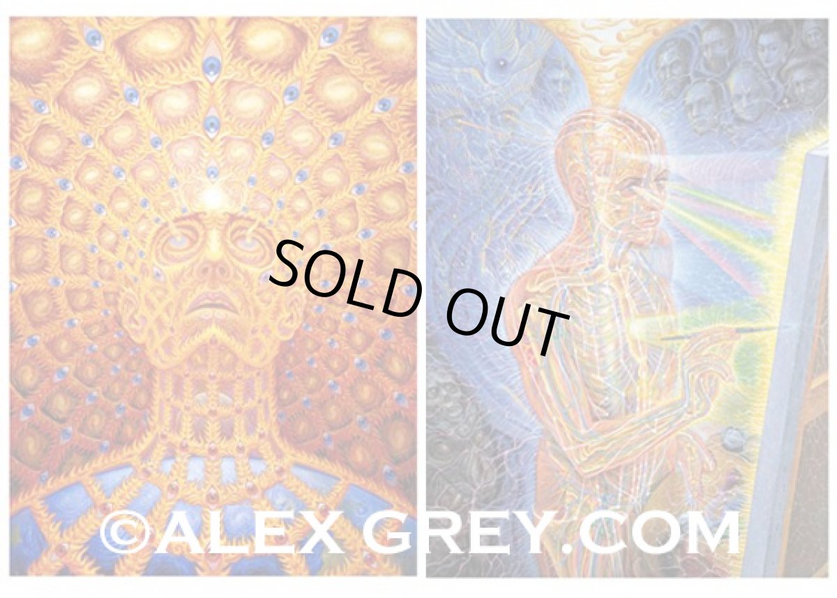 画像4: ALEX GREY ポストカード・10枚セットA (4)