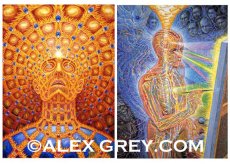 画像4: ALEX GREY ポストカード・10枚セットA (4)