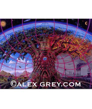 alex gray アレックスグレイ　サイン入りポスター　額なし ALEX GREY アレックスグレイ ポスター「Newborn」 | LINE