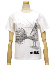 画像1: VISIBLE ELEPHANT 47 レディースTシャツ「#143/ホワイト」 (1)