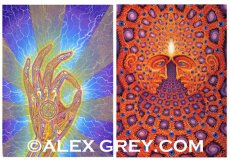画像3: ALEX GREY ポストカード・10枚セットA (3)