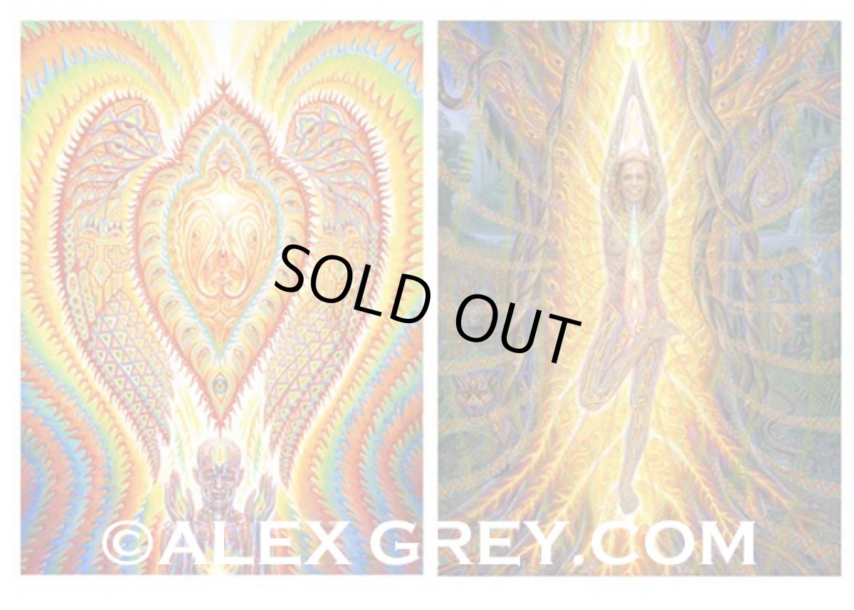 画像5: ALEX GREY ポストカード・10枚セットC (5)