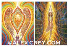 画像5: ALEX GREY ポストカード・10枚セットC (5)