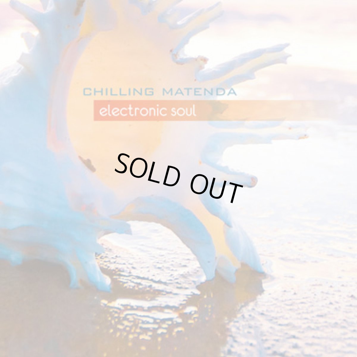 画像1: CD「Chilling Matenda / Electronic Soul」 (1)