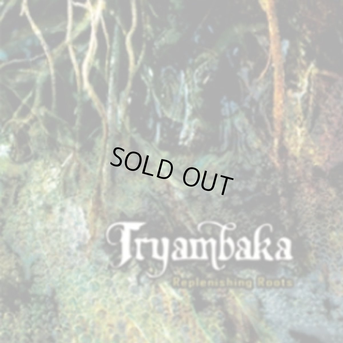 画像1: CD「Tryambaka / Replenishing Roots」 (1)