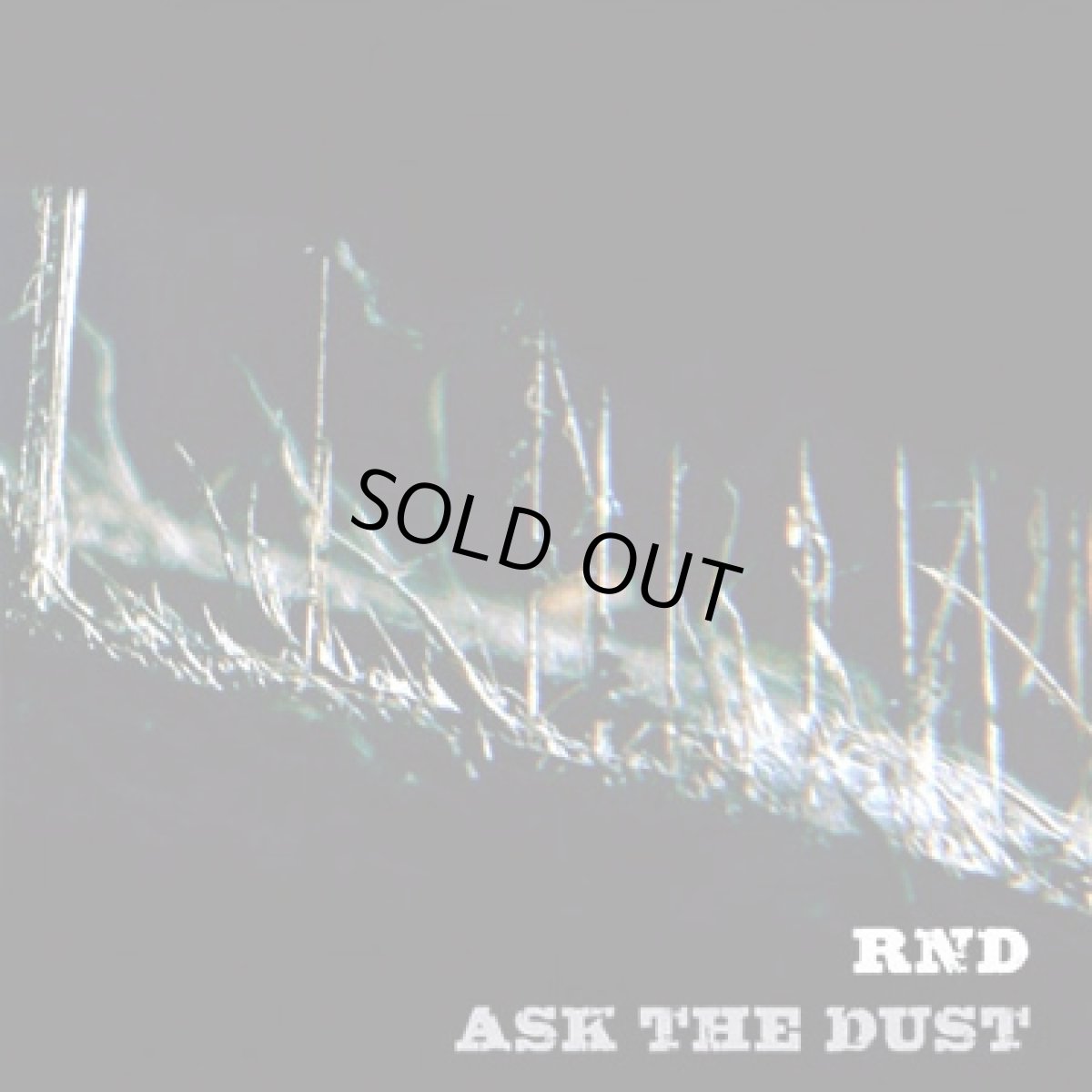 画像1: CD「 RND / ASK THE DUST 」 (1)