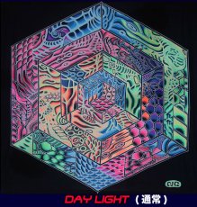 画像1: SPACE TRIBEバティック2m×2m「Hypercube」 (1)