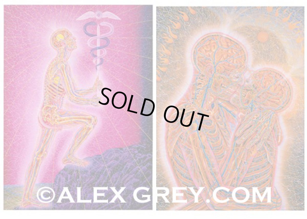 画像2: ALEX GREY ポストカード・10枚セットA (2)