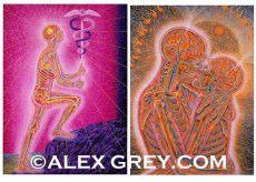 画像2: ALEX GREY ポストカード・10枚セットA (2)