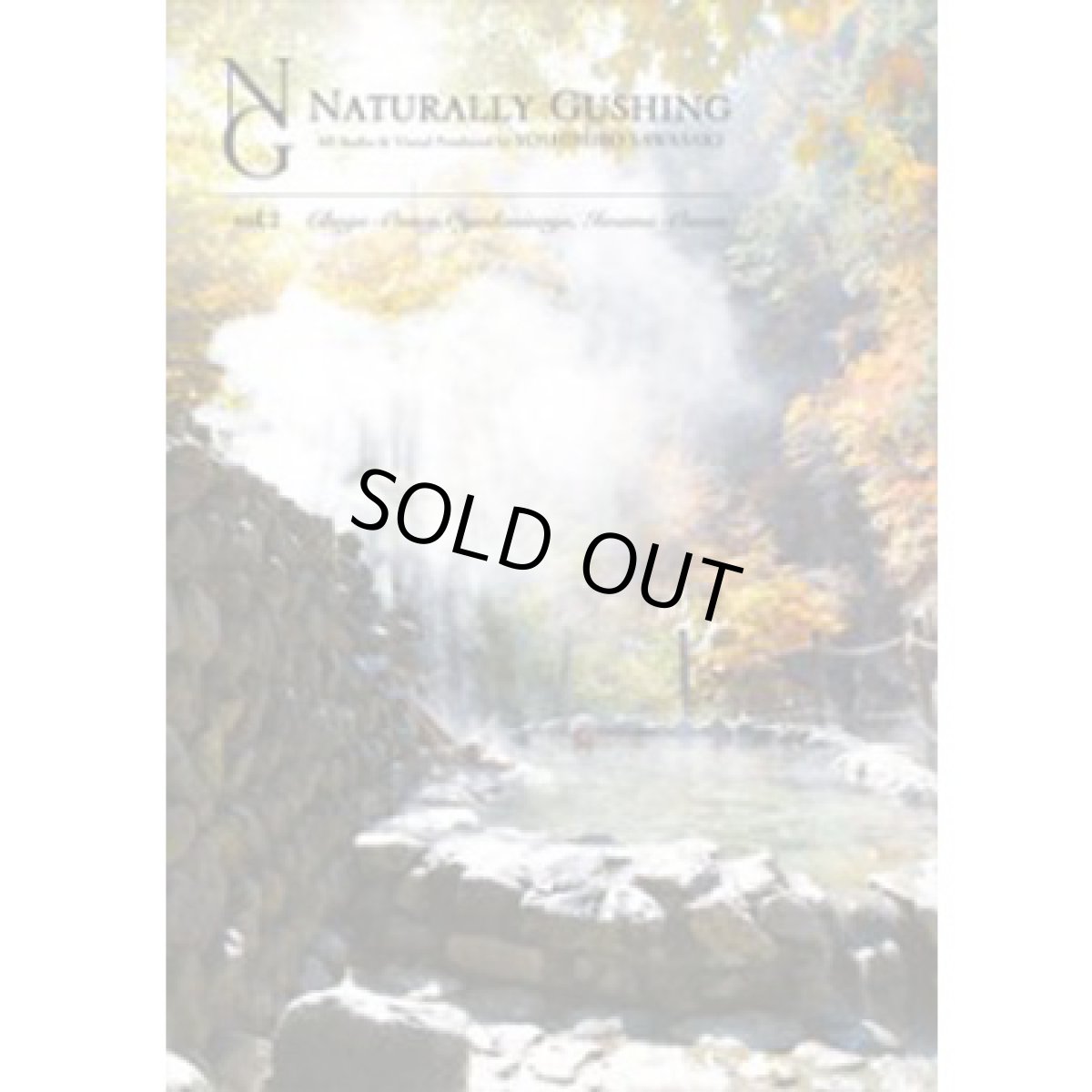 画像1: DVD「NATURALLY GUSHING vol.2」 (1)
