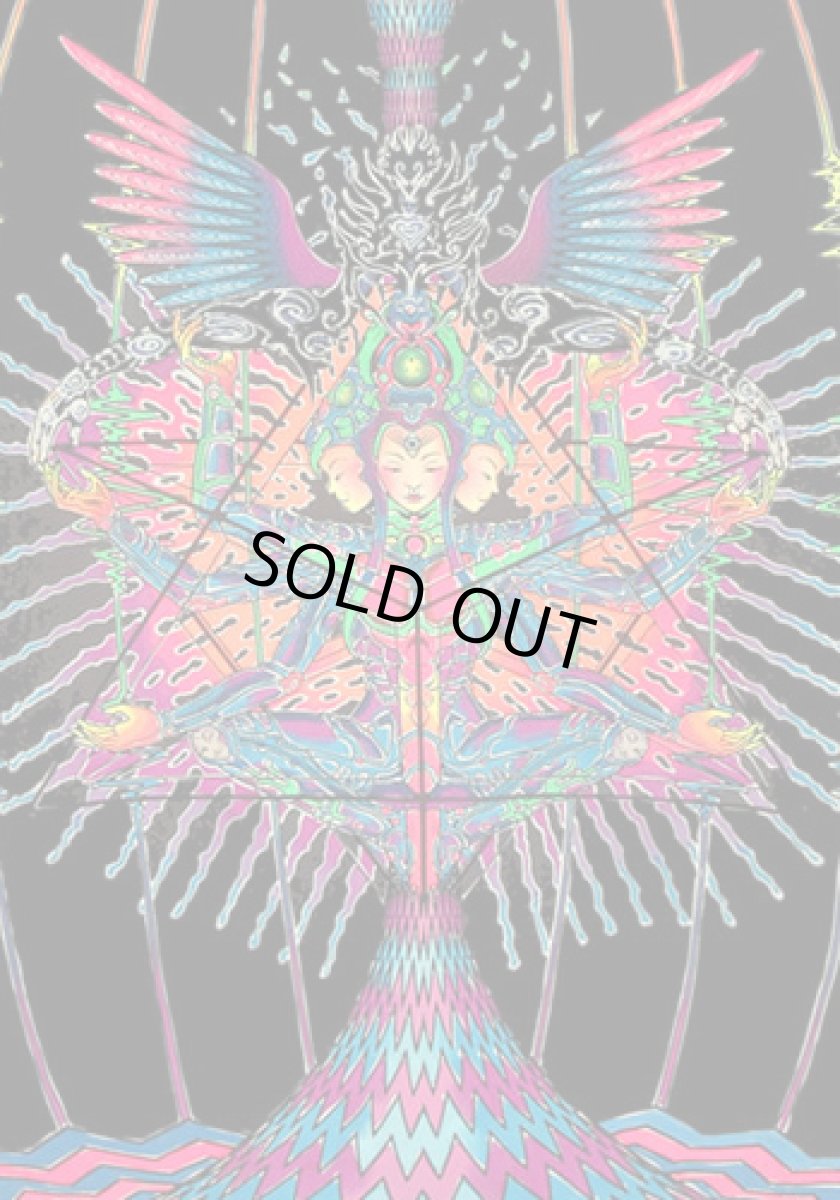 画像3: SPACE TRIBEバティック1m×2m「Garudatron」 (3)