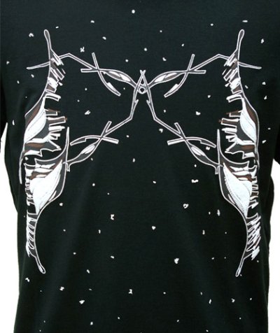 画像1: FERNユニセックス・半袖Tシャツ「Alberto Balsam/ブラック」