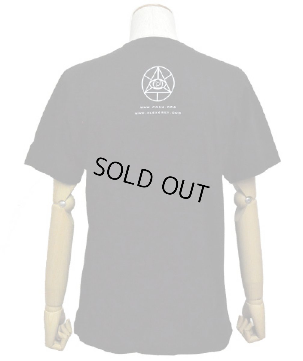 画像3: ALEX GREY メンズ・Tシャツ「Nervous Energy System」 (3)