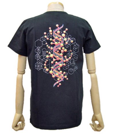 画像1: SPACE TRIBEメンズTシャツ「DNA/オレンジ」