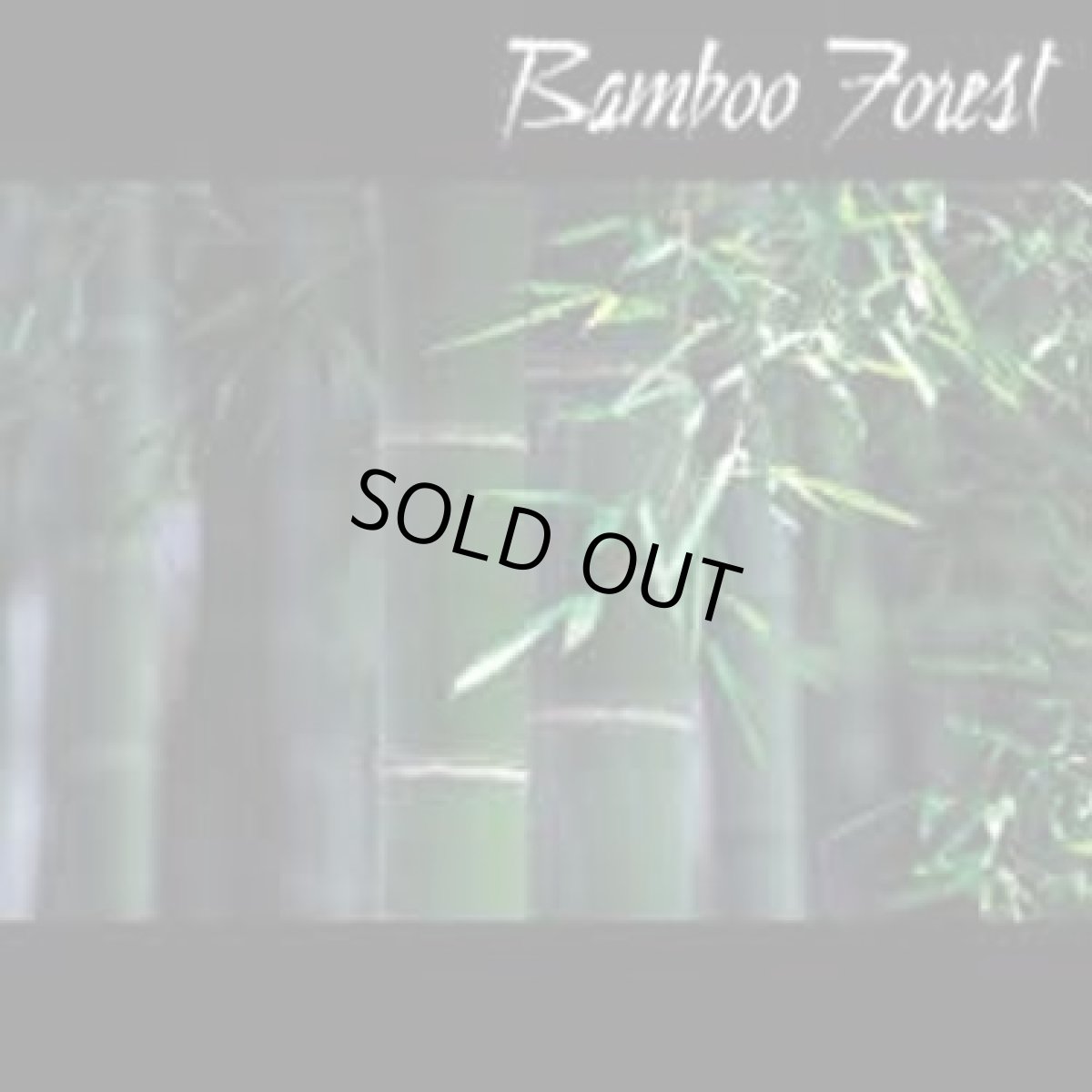 画像1: CD「BAMBOO FOREST / BAMBOO FOREST」 (1)